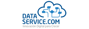 Data Services Data Services